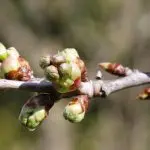 Domenica 5 luglio 2020