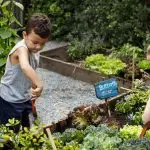 Acli Latina: “Radici di Comunità”,un progetto di successo per minori dai 6 ai 14 anni