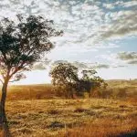 Domenica 26 luglio 2020