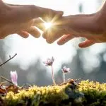 Acli Perugia:Incontro sulla “Custodia del Creato”