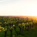 Domenica 20 settembre 2020