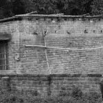 Domenica 1° novembre 2020