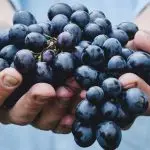 Domenica 4 ottobre 2020