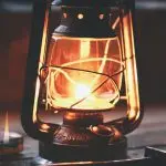 Domenica 8 novembre 2020