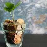 Domenica 15 novembre 2020