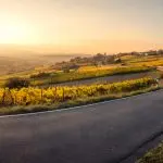 Domenica 6 dicembre 2020