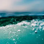 Domenica 10 gennaio 2021