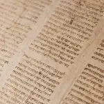 Domenica 31 gennaio 2021