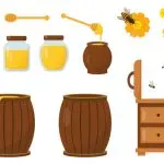 Acli Frosinone: Con “Bee Happy” l’agricoltura si fa sociale e diventa welfare comunitario e inclusivo