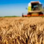 Acli Molise: “Digital Divide”, lavoro e sicurezza in ambito agricolo