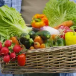 Acli Padova: Apre il nuovo mercato Acli Terra, realizzato con la parrocchia e il circolo Acli San Filippo Neri