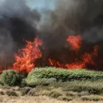 Acli Oristano: Raccolta fondi per aiutare la popolazione colpita dagli incendi in Sardegna