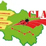 Acli Frosinone: C.I.A.O. “Camminare, Imparare, Ascoltare, Osservare”