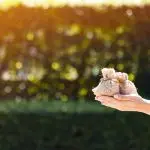 Patronato Acli, decreto aiuti ter: bonus 150 euro, chi deve fare la domanda?