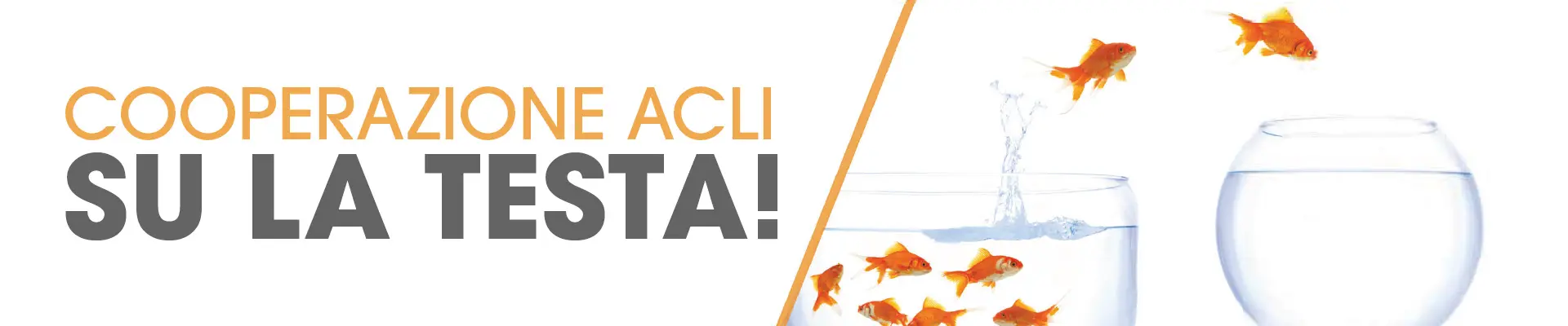 acli-sulatesta-banner1920x400