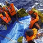 Giornata della Memoria e dell’Accoglienza, Acli: Governo rispetti Costituzione e leggi europee