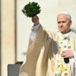 Papa Leone e la forza della pace: una parola che disarma